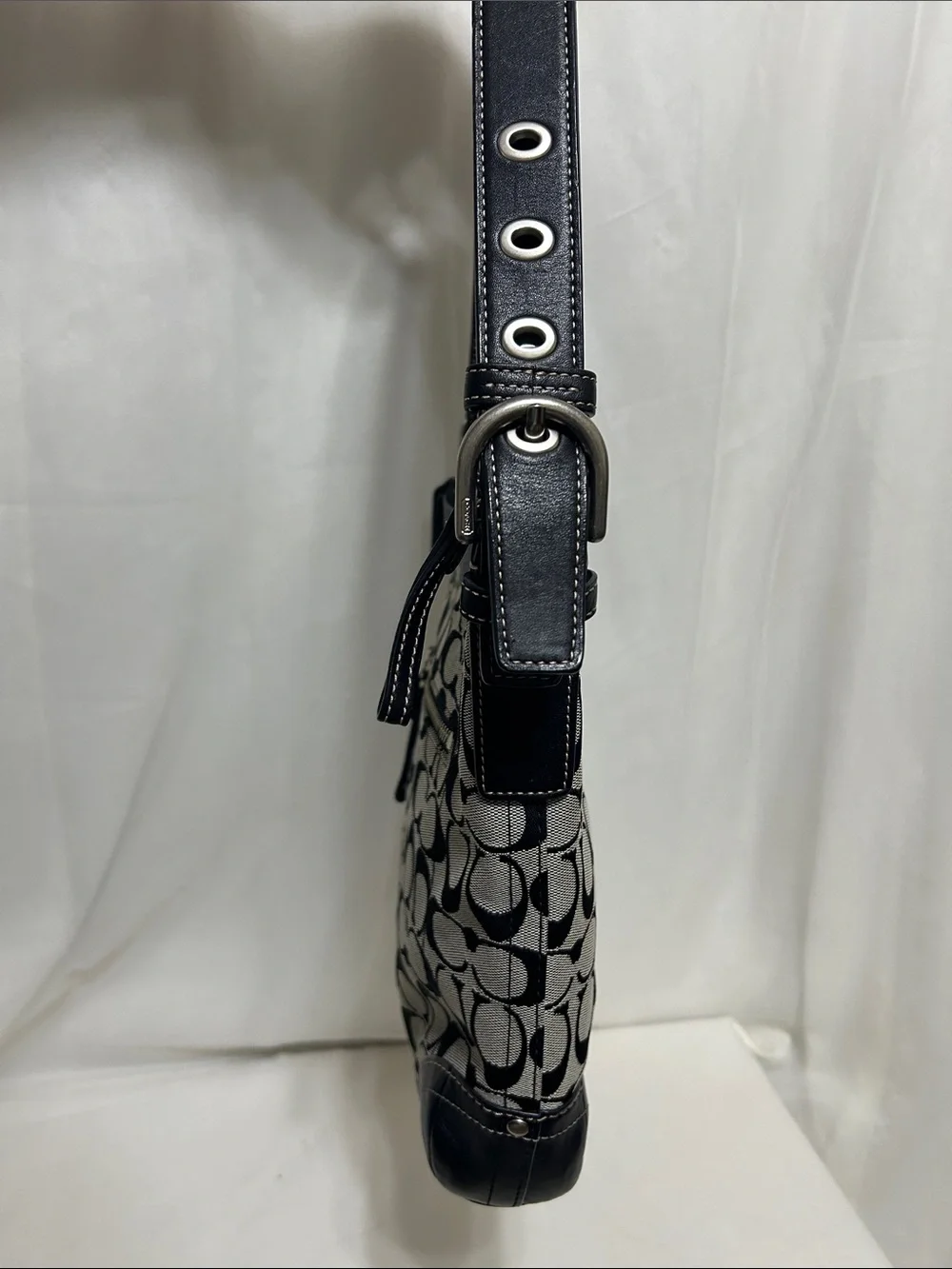 Coach details color